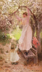 Falling Apple Blossoms