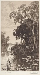 Untitled (Summer)