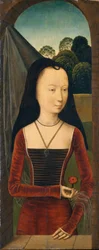 Young Woman with a Pink