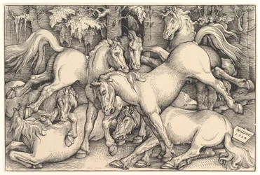 Group of Seven Horses