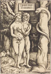 Adam and Eve, 1511