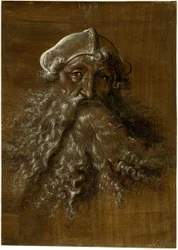 Head of an Old Man with a Heavy Beard