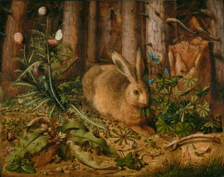 A Hare in the Forest