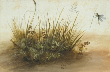 A Small Piece of Turf, 1584