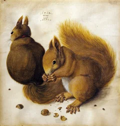 Two squirrels