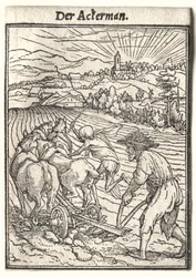 Dance of Death: The Ploughman