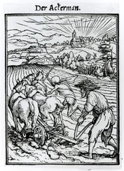 Death and the Ploughman, from 