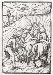 Death comes for the Farmer or Husbandman, engraved by Georg Scharffenberg, from Der Todten Tanz, published Basel, 1843