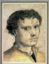 Head of a Young Man, 1523