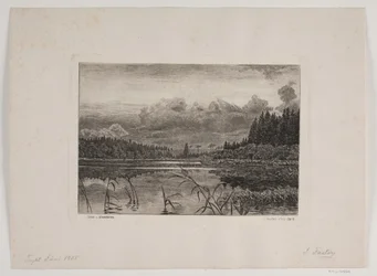 The Lake in the Pine Forest