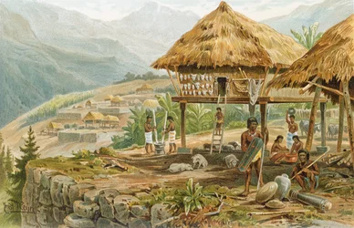 Igorrote farm in Luzon, Philippines, from 