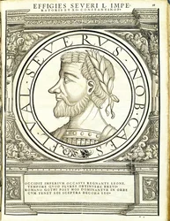 Seuerus D, illustration from 