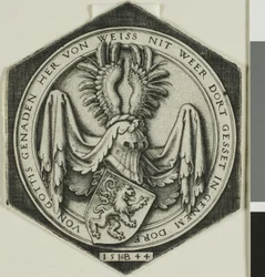 Coat of Arms with a Rampant Lion