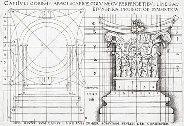Cross section of Corinthian capital and proportional drawing