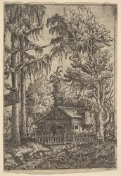 Cabin Among Trees