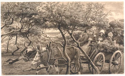 An Ox Cart. Through the Thicket. Hammerum Herred