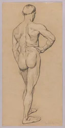 Male nude seen from behind