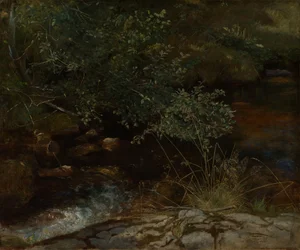 Stream Bank with Bushes and Grasses