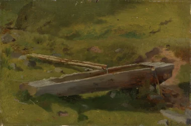 Tree Trunk as a Water Trough