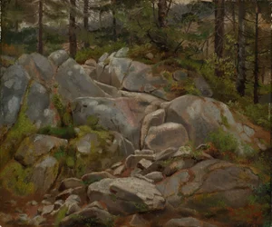 Boulders with Fir Trunks