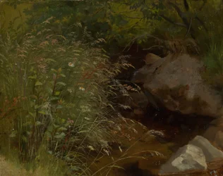 Grasses at the Edge of the Stream
