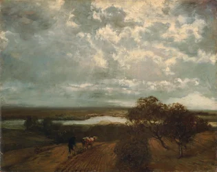 Main Landscape
