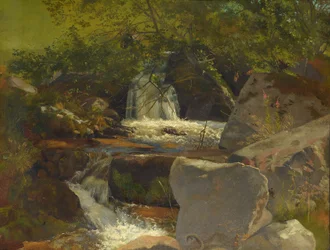 Black Forest Stream