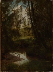Firs by the Forest Stream