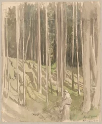 View of the forest near Bad Säckingen