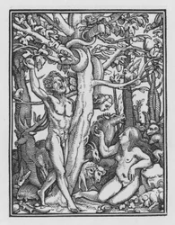 Holbein