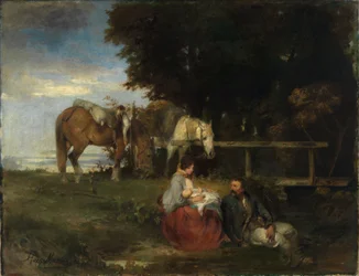 Rest at the Edge of the Forest