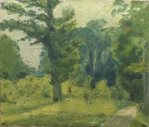 At the Edge of the Wood