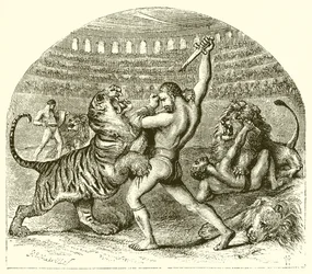 The Fighting Lion of Ancient Rome