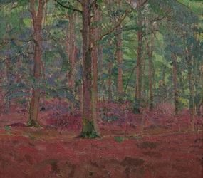 A Beech Wood