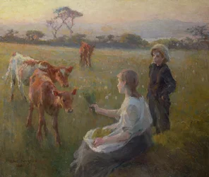 Feeding the Calves