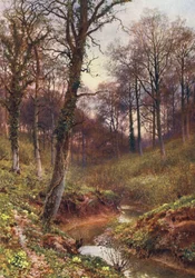 Evening Solitude, Ockley