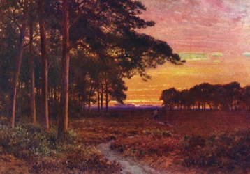 Evening on the Moors, Hindhead
