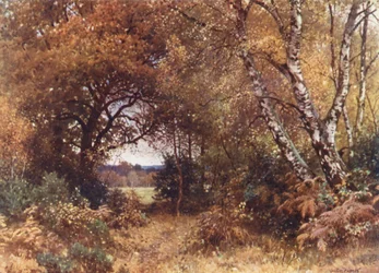 The Edge of a Wood, Royal Common (colour litho)
