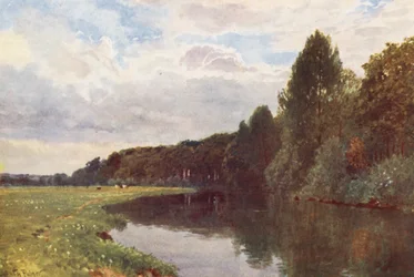 The River Wey, near Ripley
