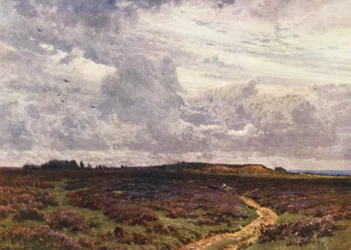The Sandy Road, Milford Heath