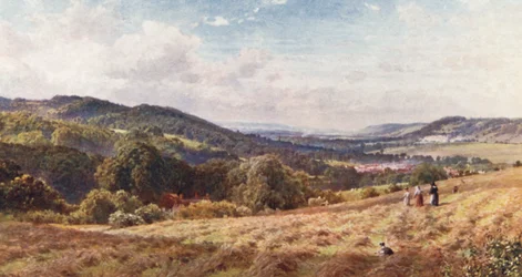 The Vale of Dorking