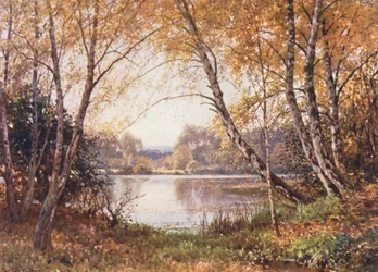 The Verge of the Pond, Royal Common