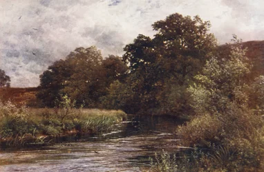 The Wey at Hankley Common, near Tilford