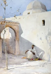 North African View