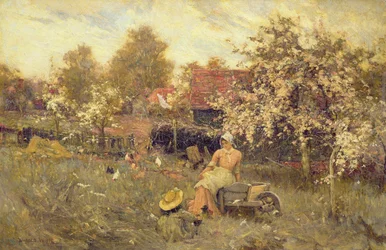 In the Orchard