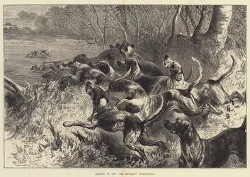 Hitting it Off, the Mid-Kent Staghounds