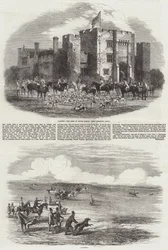 Hunting and Coursing