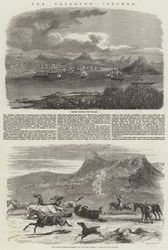 The Falkland Islands