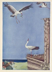 The Storks