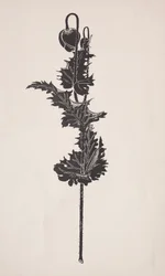 Flower Study